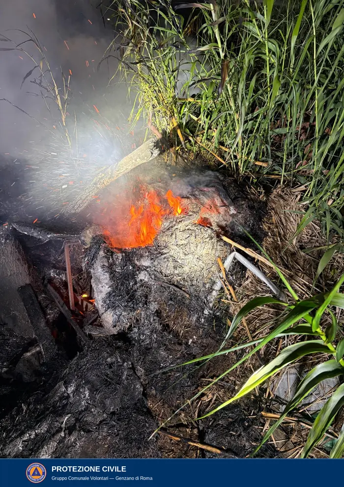 Fiamme e scintille escono da un ceppo bruciato e da un groviglio di materiale carbonizzato ai piedi di un canneto verde.