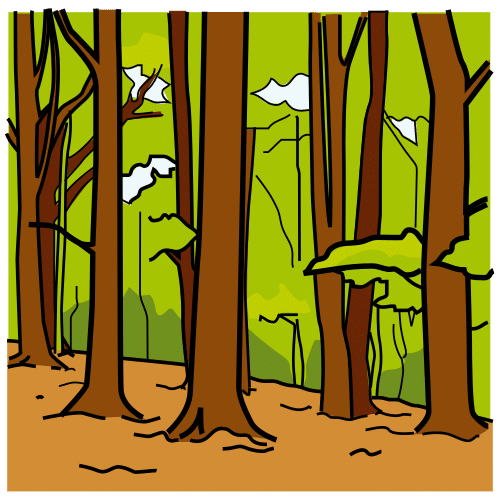 Pittogramma ARASAAC: Foresta
